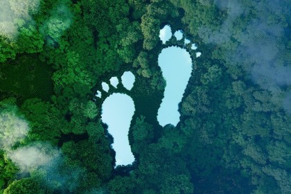 Carbon Footprint