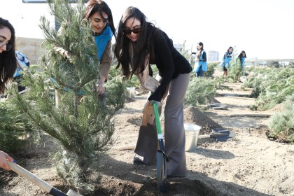 In the Nizami District of Baku, a Tree Planting Campaign Rook Place