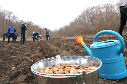 Tree Planting Campaign for International Day of Forests