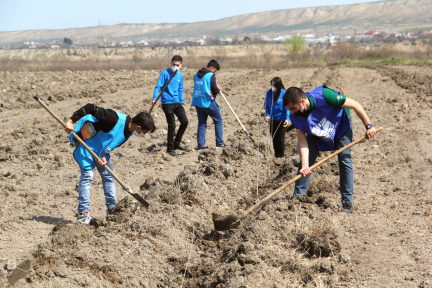 The Green Marathon Mass Tree-Planting Campaign Launched