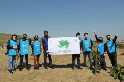 Tree Planting Actions Held in Baku as Part of the Green Marathon Project