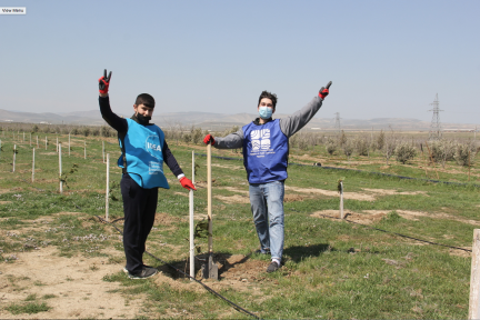 Tree Planting Actions as Part of the Green Marathon — Qaradağ and Astara Districts