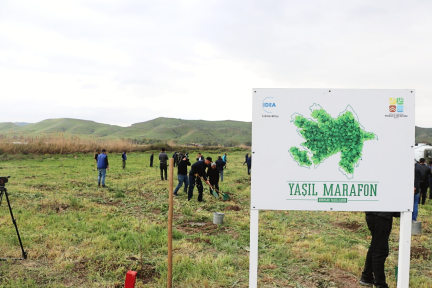 Tree Planting Campaign Held in Kubadli as Part of the Green Marathon