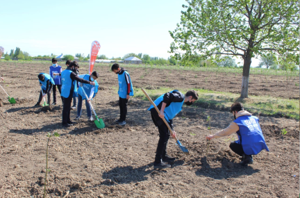 Green Marathon Tree Planting Campaigns - Samukh District