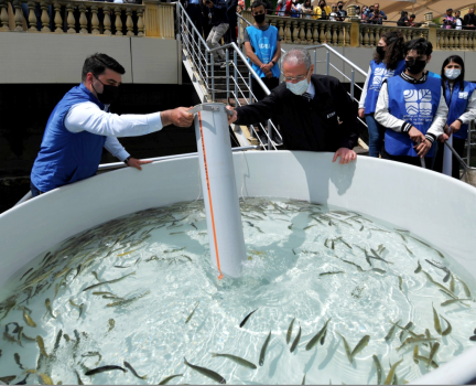 Fish Fry Released into the Territory of Göygöl National Park