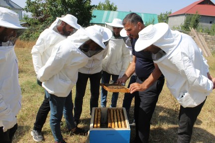 Beekeeping Facility Created for Low-Income Youth