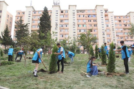 Our Yard - Samir Jafarov Street, Garachukhur Settlement, Surakhani District