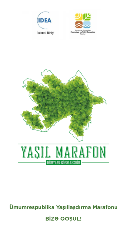 Abşeron Milli Parkında “Yaşıl Marafon”un yekun ağacəkmə aksiyası keçirilib