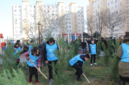 Our Yard Project - Garadagh District, M.Seyidov & A.Gulbabayev Streets