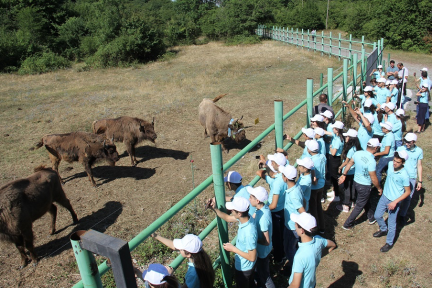 "Let’s Bring Bison Back into Our Nature!" Summer Camp 2019