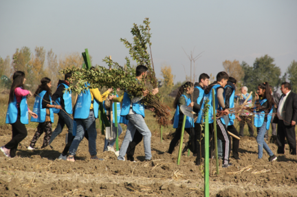 Fruit Gardens Established in Yevlakh District