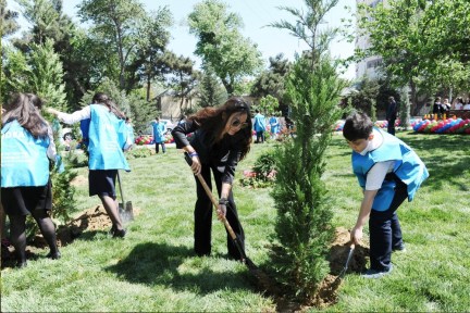 IDEA Founder Unveils Another Improved Yard within Our Yard Project