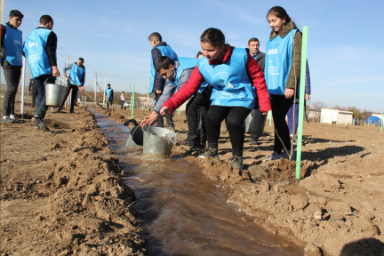 Fruit Gardens for Low-income Families Established in Goygol