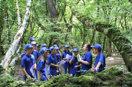 Let’s bring bison back into our nature! - Environmental Summer Camp 2017