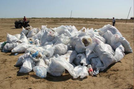 Clean-Up Held On Buzovna Beach of Caspian Sea