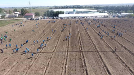 Fruit Orchards Established for Low-Income Families in Shamkir