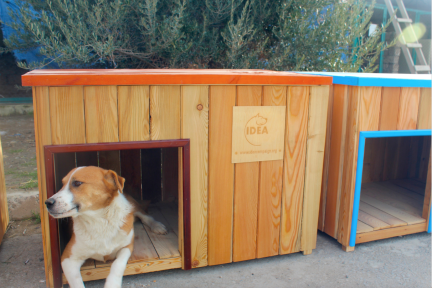 IDEA Contributed to the Improvement of the Conditions of an Animal Shelter