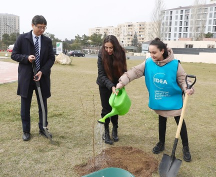 Bakının “Gənclik” parkında Yaponiya hökumətinin Azərbaycana hədiyyə etdiyi sakura ağaclarından ibarət bağ salınıb.