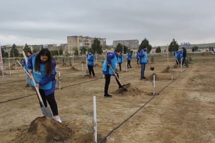 Yaşıl Marafon çərçivəsində genişmiqyaslı ağacəkmə aksiyaları keçirilib